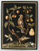 Panneau : fruits et oiseau, image 1/2