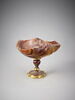 Coupe en forme de coquille, image 1/3
