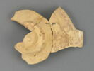 Fragments, image 2/2