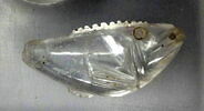 Poisson en cristal de roche, image 5/6