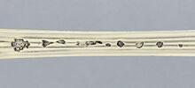 Cuiller à sucre, image 3/5