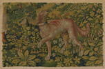 Fragment de verdure avec un chien, image 1/5