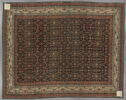 Tapis Persan (à noeuds asymétriques), image 13/13