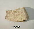 fragment, image 3/3