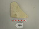 fragment, image 1/2