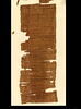 papyrus, image 3/7