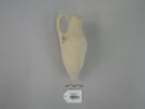 vase, image 1/5