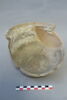 oule ; pot fragment, image 2/4