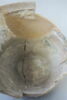oule ; pot fragment, image 3/4