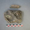 sculpture, fragment, image 1/2