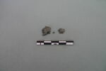 monnaie, fragment, image 3/3