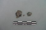 monnaie, fragment, image 2/3