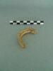 anneau, fragment, image 3/3