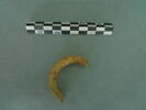 anneau, fragment, image 2/3