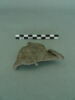 plaque, image 1/3