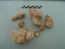 nodule, image 2/3