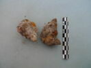 nodule, image 1/3