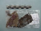 textile divers, fragment, image 1/3