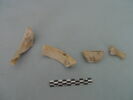 col, fragment, image 1/3