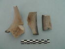 col, fragment, image 1/3