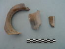 col, fragment, image 2/3