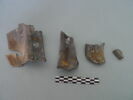 col, fragment, image 1/3