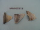 col, fragment, image 3/3