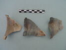 col, fragment, image 1/3