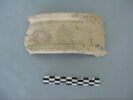 col, fragment, image 2/3