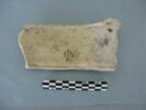 col, fragment, image 1/3