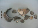 col, fragment, image 3/3