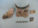 col, fragment, image 3/3