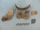 col, fragment, image 2/3