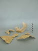 oule, fragment, image 3/3
