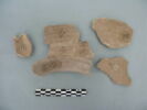 col, fragment, image 1/3