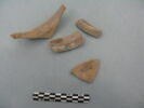 col, fragment, image 1/3