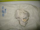 enduit peint, fragment, image 5/5