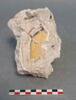 enduit peint, fragment, image 1/5
