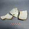 plat, image 1/2