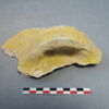 vase, récipient, fragment, image 2/3