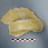 vase, récipient, fragment, image 3/3