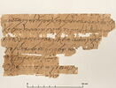 papyrus documentaire, image 2/2