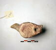 sifflet ; figurine, image 4/4