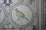 Mosaïque de Qabr Hiram, image 8/49