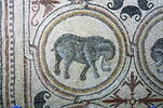 Mosaïque de Qabr Hiram, image 11/49