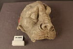 chéneau, image 1/4
