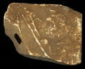 Stèle votive à Saturne (fragment), image 1/2