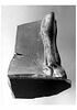 rhyton  ; vase plastique, image 13/13