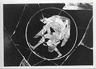 coupe, image 7/8
