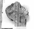 stèle funéraire, image 2/3